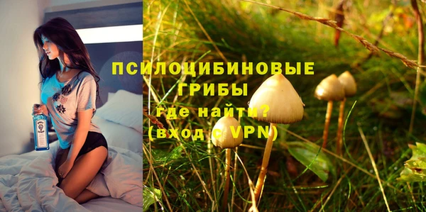 гидропоника Бугульма