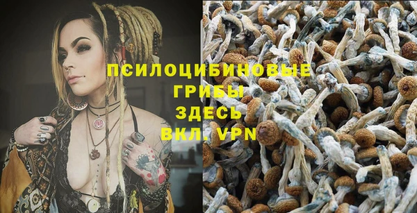 PSILOCYBIN Бронницы